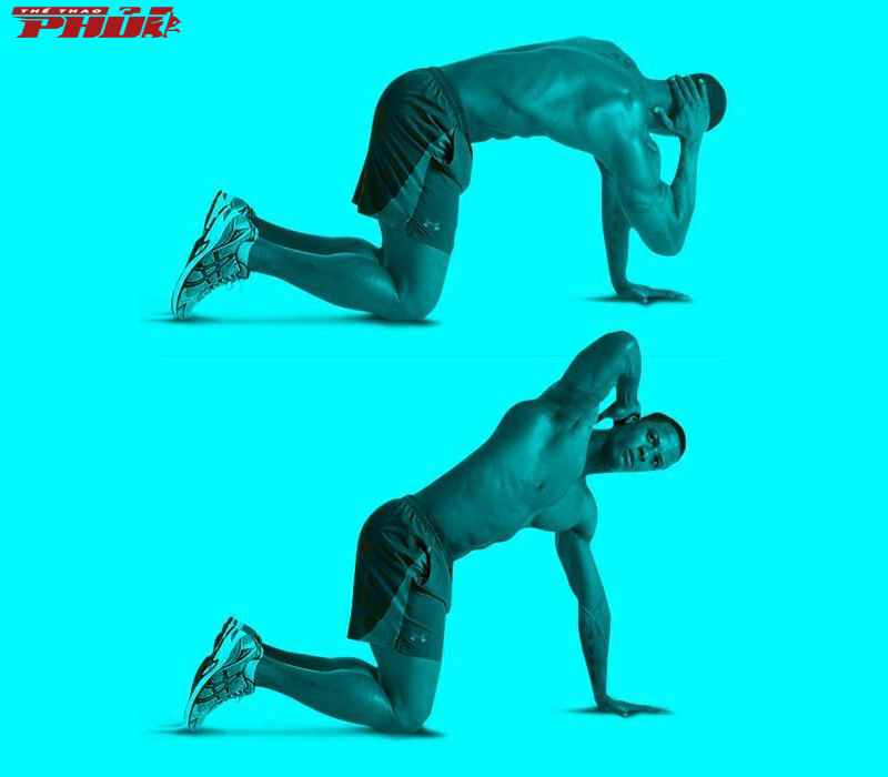 Kneeling Extension – Rotation